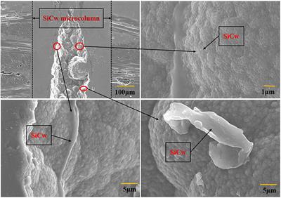 Microstructure of Directionally Modified SiC Whisker C/SiC Composites Prepared With LA-CVI Technique
